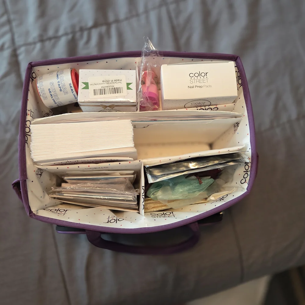 Color Street Delux Carry Case Organizer Tote with Planning System Pack
